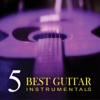Best Guitar Instrumentals, Vol. 5, 2012