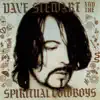 Dave Stewart and the Spiritual Cowboys album lyrics, reviews, download