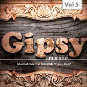 Gipsy Music, Vol. 5 artwork