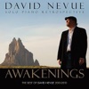 David Nevue - Greensleeves