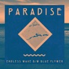 Endless Wave (Remixes) / Blue Flower - EP