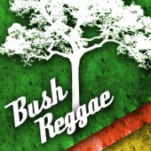 Bush Reggae artwork