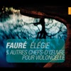 Faure: Elegie et autres chefs-d'oeuvres pour violoncelle artwork