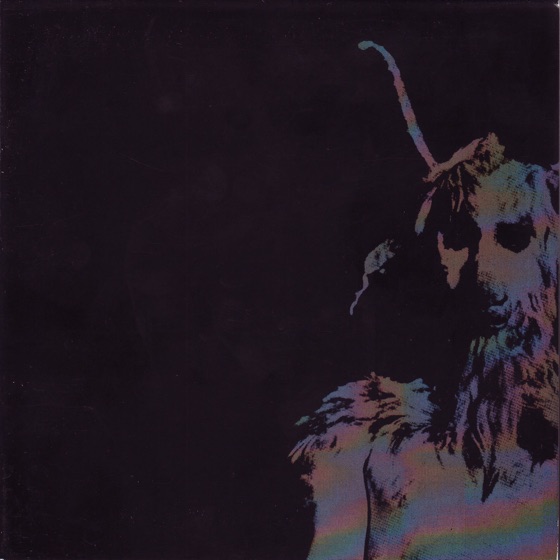 Cover artwork for Hell Comes Home