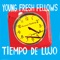 So Many Electric Guitars - Young Fresh Fellows lyrics