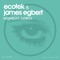 Midnight Express - Ecotek & James Egbert lyrics