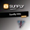 Sunfly Hits, Vol.118 ジャケット写真