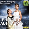 Johann Wolfgang von Goethe - Einführung