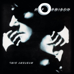 Emmylou Harris & Roy Orbison - A Love So Beautiful