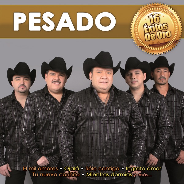 Pesado 16 Éxitos de Oro Pesado (iTunes Plus AAC M4A) (Album)