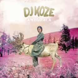DJ Koze - Track ID Anyone? (feat. Caribou)