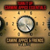 Turn It Up: Carmine Appice Essentials
