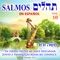 Salmos No. 136 - David & The High Spirit lyrics
