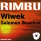 Salomon Beach (Daniel Darque Remix) - Wiwek lyrics