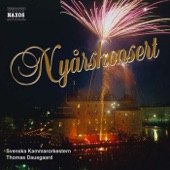 New Year's Concert: Swedish Chamber Orchestra artwork