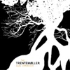 The Trentemøller Chronicles artwork