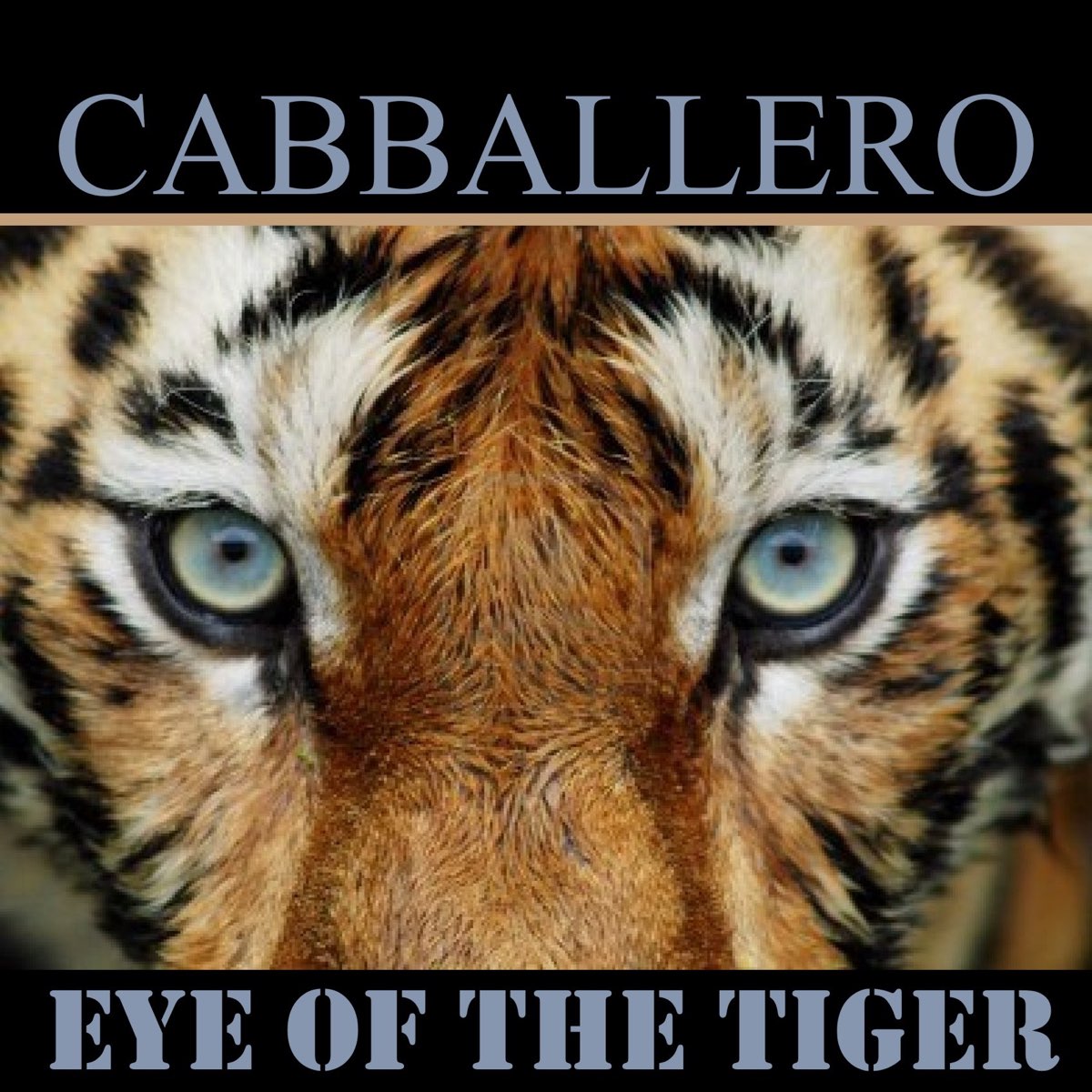 Eye of tiger. Eye of the Tiger обложка альбома. Tiger Eyes. Eye of the Tiger рингтон. Глаз тигра песня.