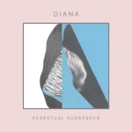 DIANA - Foreign Installation