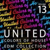 United Colors of House, Vol. 13