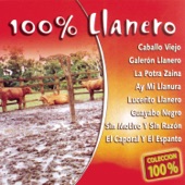 Ser Llanero Cuesta Caro artwork