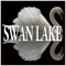 Swan Lake Op. 20: Scene - excerpt - Alexander Lazarev & The Bolshoi Symphony Orchestra lyrics