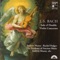 Concerto in D Minor for Two Violins, BWV 1043: II. Largo ma non tanto artwork