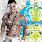 Party Groove: White Party 14 (Continuous DJ Mix) artwork