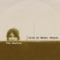 All the Pretty Girls Leave Town - Tim Easton lyrics
