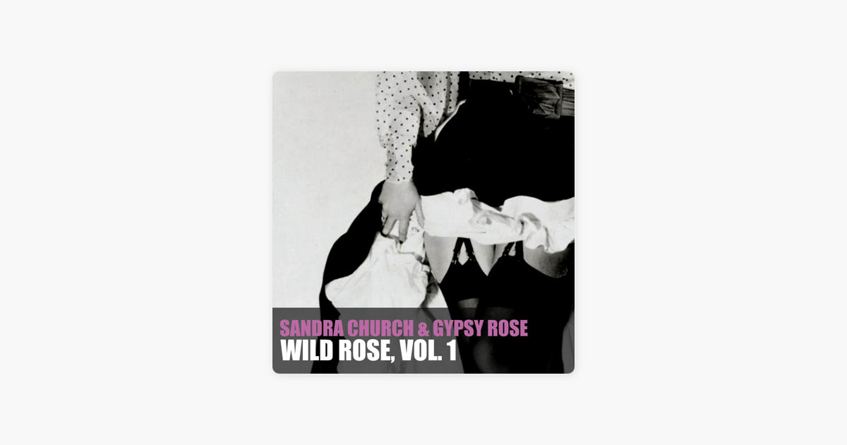 Перевод песни wild rose