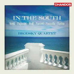 in the South - The Brodsky Quartet in the South - The Brodsky Quartet