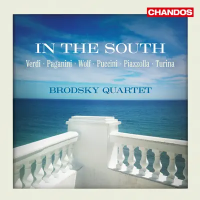 in the South - The Brodsky Quartet in the South - The Brodsky Quartet