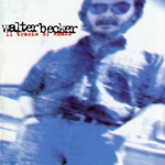 Walter Becker - Down In the Bottom