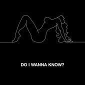 Do I Wanna Know? artwork