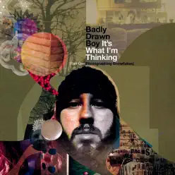 It's What I'm Thinking: Photographing Snowflakes (Deluxe) - Badly Drawn Boy