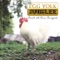 Mommy - Egg Yolk Jubilee lyrics