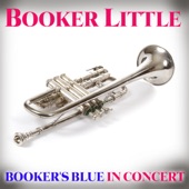 Booker's Blues In Concert artwork