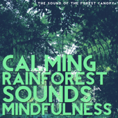 Calming Rainforest Sounds for Mindfulness (The Sound of the Forest Canopy) - Holistic Serenity