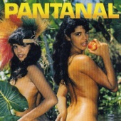 Pantanal artwork