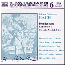 Cologne Chamber Orchestra & Christian Ludwig - Brandenburg Concerto No. 2 in F Major, BWV 1047: II. Andante