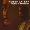 Come Sunday (LP Version)  - Yusef Lateef 