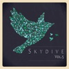 Skydive, Vol. 05