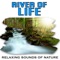 Quick Moving Forest River Speaks to the Soul - Relaxing Sounds of Nature lyrics