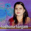 Hits of Sadhana Sargam, 2013