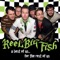 Suckers (This One's for You) - Reel Big Fish lyrics