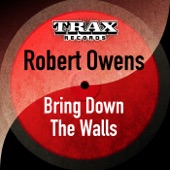 Bring Down the Walls (Dub) artwork