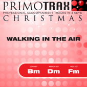 Walking in the Air - Christmas Primotrax - Performance Tracks - EP - Christmas Primotrax & The London Fox Children's Choir