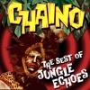 The Best of Jungle Echoes artwork
