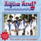 Amarga Soledad - Conjunto Agua Azul lyrics