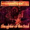 Slaughter of the Soul (Expanded Edition) artwork