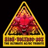 High Voltage Box: The Ultimate AC/DC Tribute, 2007